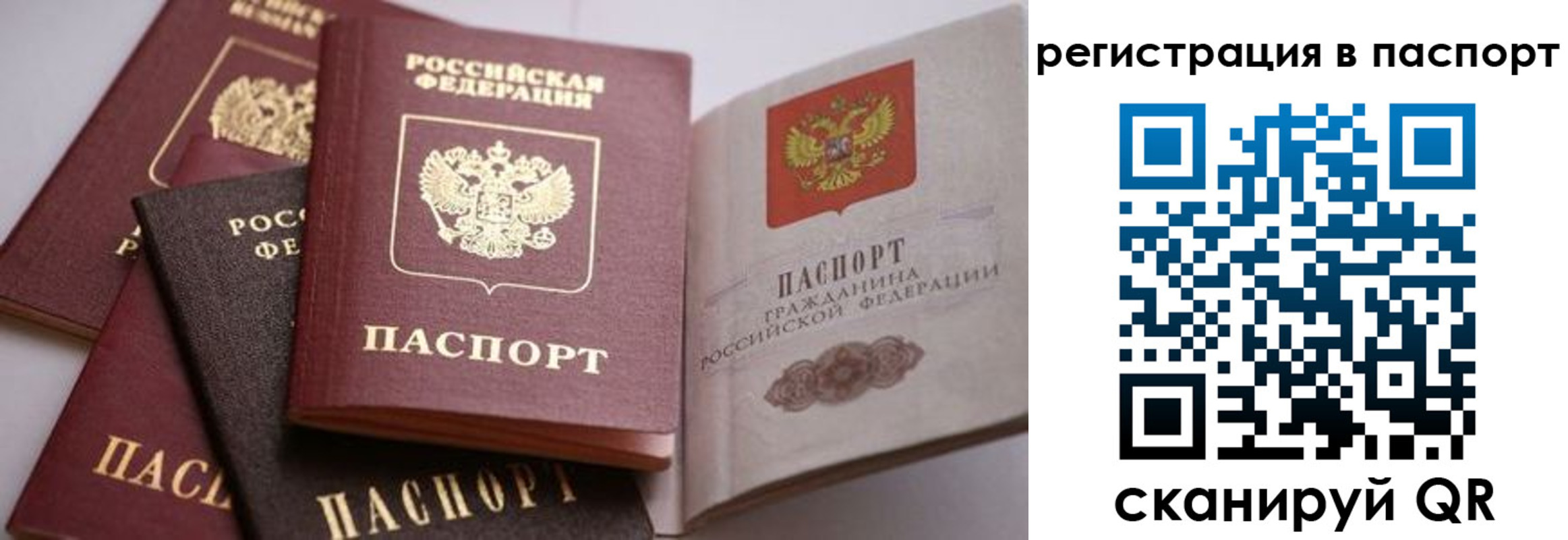 временная регистрация поиск в Муроме